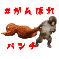 市川市動植物園公式LINEスタンプ　第４弾