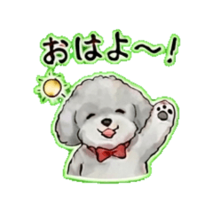 シルバートイプードル｜毎日スタンプ