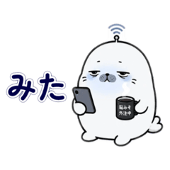 了解だけするアザラシ