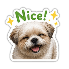 MochiMeow_20260501144718