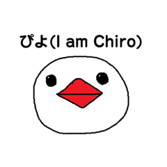 チロ(ピロ)の日々