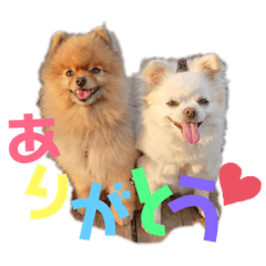 ゆるかわんこ by シナショコ