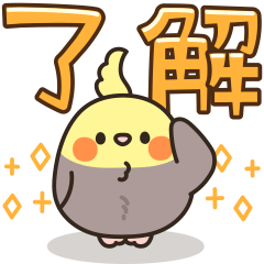 毎日オカメインコちゃん♪