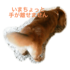 ハルの生活スタンプ