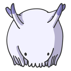 不思議かわいい！センジュナマコ