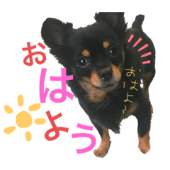 チョコびったん！