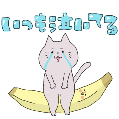 いつも泣いてる。ねこさん