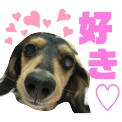 らんらんらんらん♡