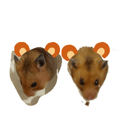 ファイアーきすけ