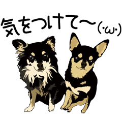 チワワのココ＆ルイと仲間たちvol.2