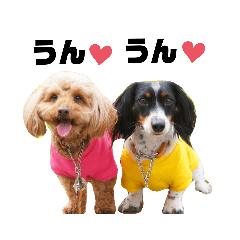 めろんばんときなこもち ②