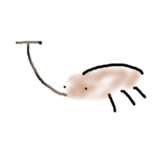 カブトムシから