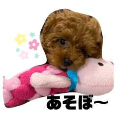 モアナとアプモナのスタンプ