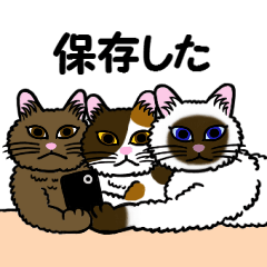 大人の緩くない猫スタンプー集団編