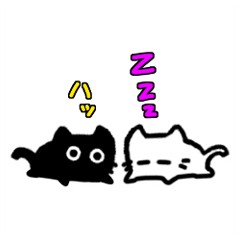 アリアンのしろくろねこ