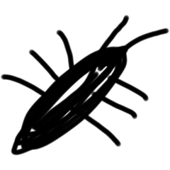 得体の知れない仲間たち