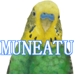 私ん家のインコ。使いやすい