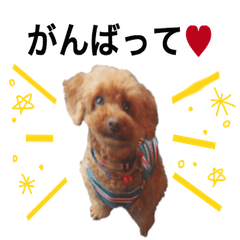 ココちゃんとまるちゃん