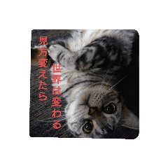 ポコニャン スタンプpart1 by treco