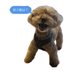 バムセnoスタンプ