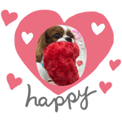 キャバリアのハッピーくん登場