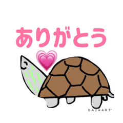 亀のさっちゃんイラスト版