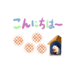 我が家のキンクマちゃんと、その仲間たち。