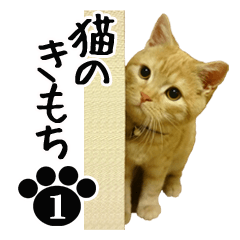 猫のきもち 1