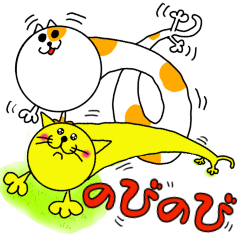 のびのび胴長猫