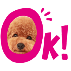 癒し系むーちゃん