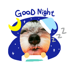 マルシュナにこ