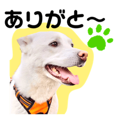 メイ姉さんのお茶目スタンプ