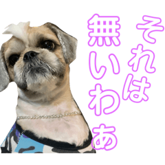 モヒカン蓮くん　8