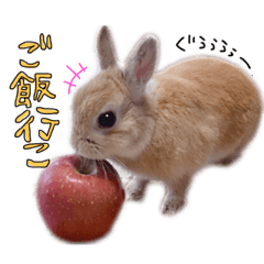 うさぎのてとまる。２