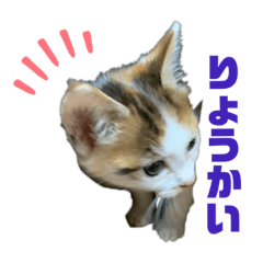 ろっくすンのスタンプ