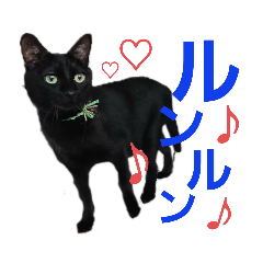 ベリー♡単独スタンプ