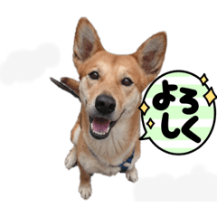 愛之助＆鶴太郎