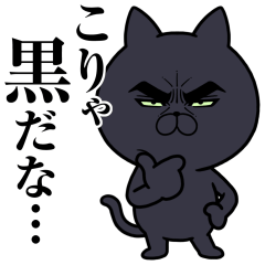 目ヂカラ★にゃんこ【黒猫】