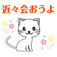 待ち合わせや感情表現等のスタンプです。