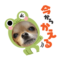 うにたんの毎日