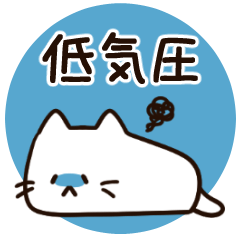 低気圧がつらい白猫ちゃん