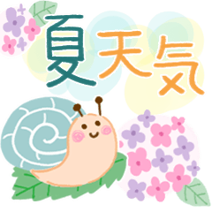 大人の気遣い18♡梅雨〜夏天気