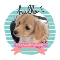 マイファミリー5