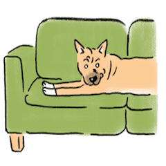 元保護犬福と元保護猫とも＆もえ修正版