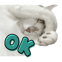 我が家のライたんのスタンプ