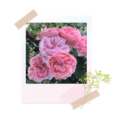 花スタンプその2