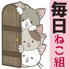 ねこ組＊毎日飛び出す❤️ロコ•モコ•ドン