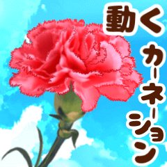 母の日にもおすすめ❤️カーネーション