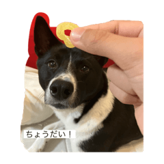 イヌとハムスターのスタンプ2