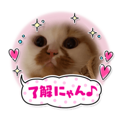 ミチルちゃんスタンプ